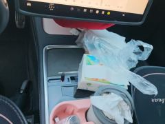Tesla Model Y 545km Rear-Wheel Drive Edition - photo 19