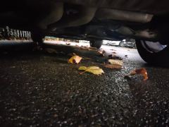 Audi Q7 55 TFSI quattro S line Version - ფოტო 9