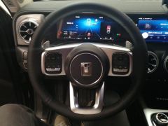 Tank 300 Off-Road Edition 2.0T Conqueror - ფოტო 18
