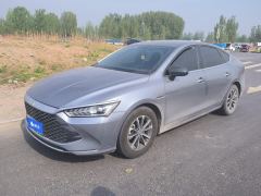 BYD Qin PLUS DM-i 55km Prestigious Edition - ფოტო 1