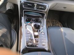 BYD Qin PLUS DM-i 55km Prestigious Edition - ფოტო 19