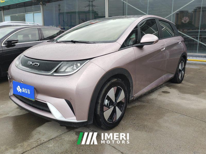 BYD Dolphin 420km Stylish Edition - car from China