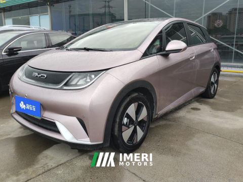 2023 BYD Dolphin 420km Stylish Edition - car from China
