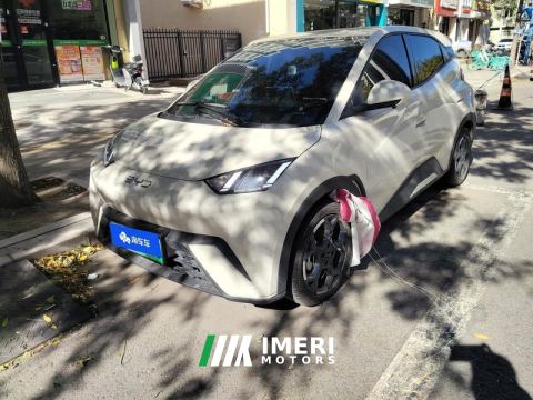 2025 BYD Seagull 305km Free Version - car from China
