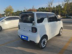 Geely Galaxy Panda mini 210km Yuanqi Bear - ფოტო 2