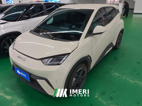 2023 BYD Seagull 305km Free Version - ავტომობილი ჩინეთიდან