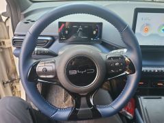 BYD Seagull 305km Free Version - ფოტო 18