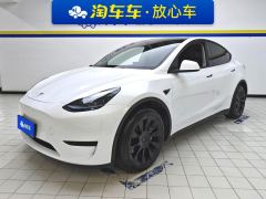 Tesla Model Y 554km Rear-Wheel Drive Edition - фото 1