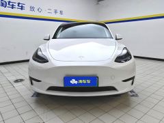 Tesla Model Y 554km Rear-Wheel Drive Edition - фото 3