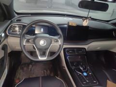 BYD Qin PLUS DM-i 55km Flagship - photo 16