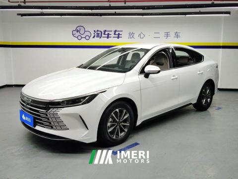 2023 BYD Destroyer 05 DM-i Champion Edition 1.5L 55km Luxury Edition