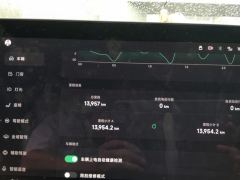 XPeng P7 P7i 550 Rear-wheel drive Pro - photo 20