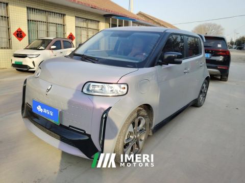 2022 Ora White Cat Edition 360Km Luxury Version - ავტომობილი ჩინეთიდან