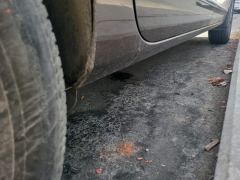 Buick GL8 652T Premium Version 7 - ფოტო 10