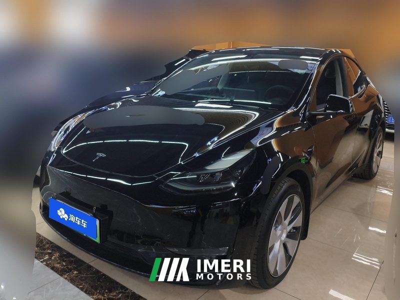 Tesla Model Y Standard endurance rear-wheel drive