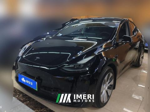 2021 Tesla Model Y Standard endurance rear-wheel drive - ავტომობილი ჩინეთიდან