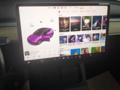 Tesla Model Y Standard endurance rear-wheel drive - ფოტო 17
