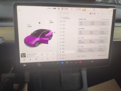 Tesla Model Y Standard endurance rear-wheel drive - ფოტო 20