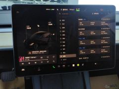 Tesla Model 3 556km Rear-Wheel Drive Edition - ფოტო 20