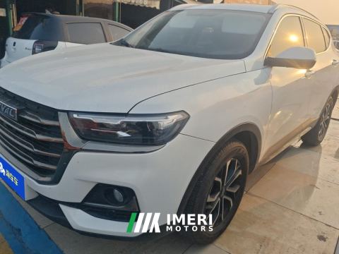 2021 Haval H6 Guochao Edition 1.5T 2WD Urban Edition - car from China