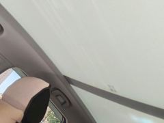 Roewe RX5 PLUS 330TGI Edition - ფოტო 15