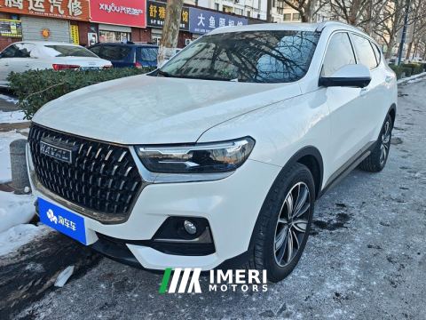 2023 Haval H6 Guochao Edition 1.5T 2WD Champion Edition - ავტომობილი ჩინეთიდან