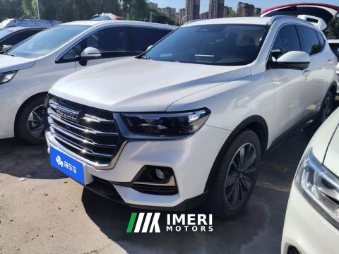 2023 Haval H6 Guochao Edition 1.5T 2WD Champion Edition - car from China