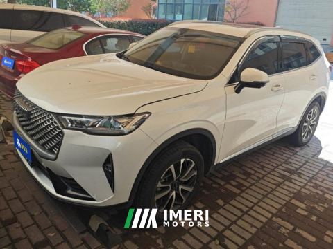 2022 Haval H6 Hybrid 1.5T DHT Version - car from China