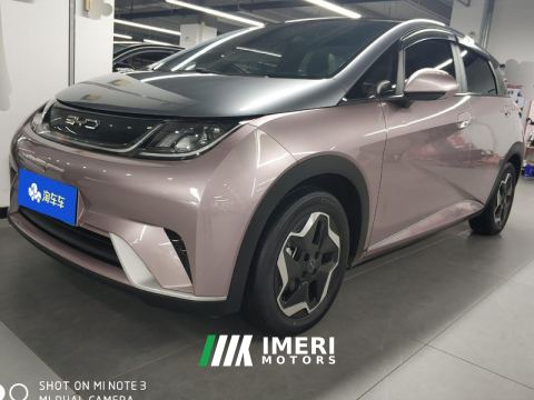 2021 BYD Dolphin 405km Stylish Edition - car from China
