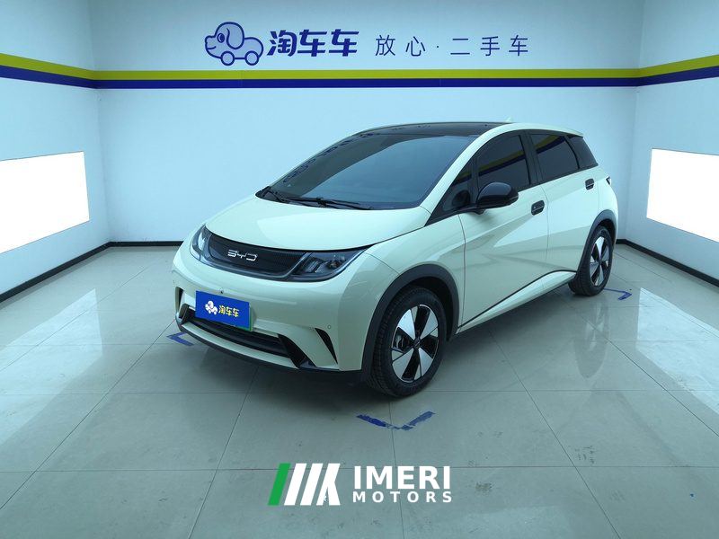 BYD Dolphin 420km Stylish Edition - ავტომობილი ჩინეთიდან
