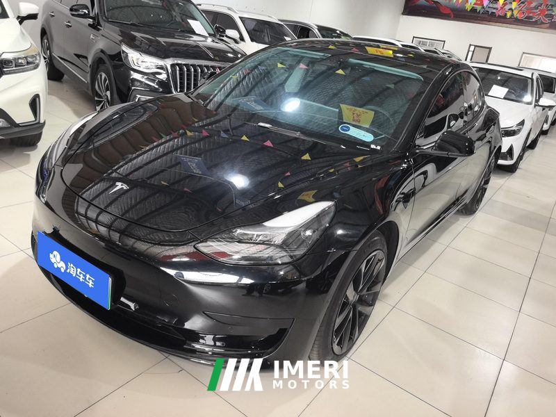 Tesla Model 3 556km Rear-Wheel Drive Edition