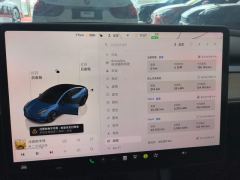 Tesla Model 3 556km Rear-Wheel Drive Edition - ფოტო 20