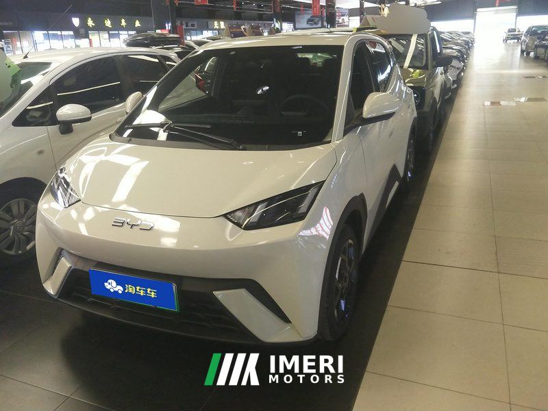BYD Seagull 405km Flying Edition - car from China