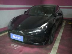 Tesla Model 3 Standard Range Edition 3D6 - ფოტო 1