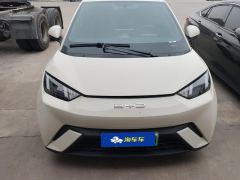 BYD Seagull 305km Free Version - ფოტო 3