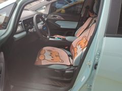 Geely Geometry E Firefly 301km Starlight - ფოტო 14
