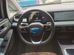 Geely Geometry E Firefly 301km Starlight - ფოტო 18