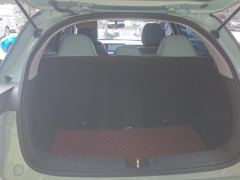 Geely Geometry E Firefly 301km Starlight - ფოტო 7