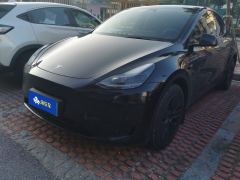Tesla Model Y 554km Rear-Wheel Drive Edition - ფოტო 1