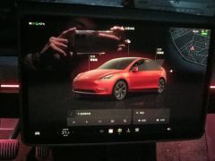 Tesla Model Y 554km Rear-Wheel Drive Edition - photo 20