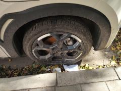 BYD Seagull 305km Free Version - photo 6
