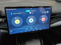 BYD Seal EV Edition 550km Premium Version - photo 17