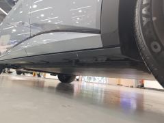 BYD Dolphin 420km Stylish Edition - photo 11