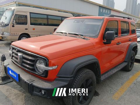 2021 Tank 300 Off-Road Edition 2.0T Challenger - ავტომობილი ჩინეთიდან