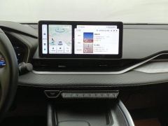 Geely Xingui Xingrui 2.0T Luxury Edition - photo 17