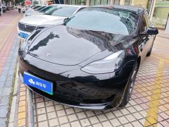Tesla Model 3 556km Rear-Wheel Drive Edition - ფოტო 1