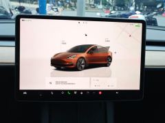 Tesla Model 3 556km Rear-Wheel Drive Edition - ფოტო 20
