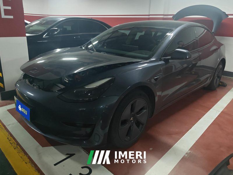 Tesla Model 3 Standard Range Edition 3D6