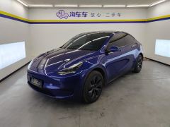 Tesla Model Y 554km Rear-Wheel Drive Edition - ფოტო 1