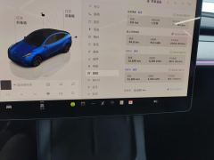 Tesla Model Y 554km Rear-Wheel Drive Edition - ფოტო 20